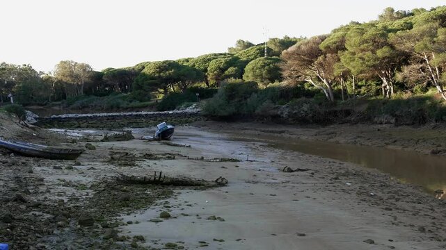 Fango river bed and stranded ships near the lush forest