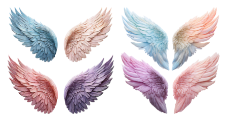 Beautifully Crafted Angel Wings in Various Colors and Textures, PNG bundle collection, Isolated on Transparent Background