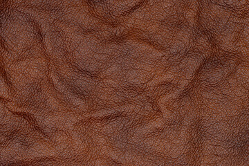 Dark Brown Genuine Leather Texture – Close-Up Top View