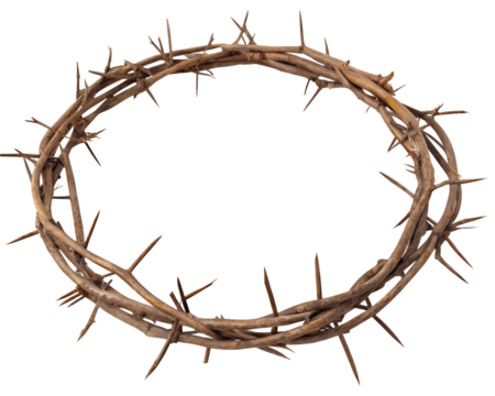 A poignant crown of thorns a symbol of sacrifice and suffering solemnly presented against a stark black background showcasing intricate detail and texture AI Generative