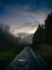 Fototapeta premium Route forestière écossaise sous un ciel chargé à la tombée du jour