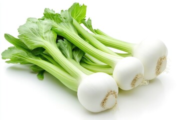 Close-up of Fresh White Turnips with Green Leaves on White Background