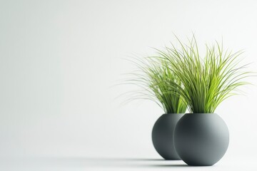 Two Small Green Plants in Round Gray Pots on White Surface