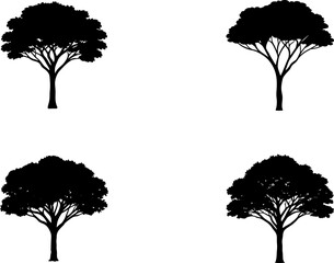 Acacia tree vectors collection black and white, Vector of acacia trees set design