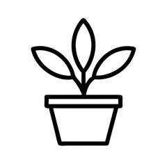 Potted Plant