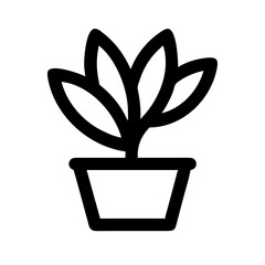 Potted Plant