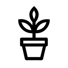 Potted Plant