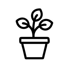 Potted Plant