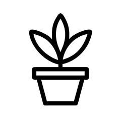 Potted Plant