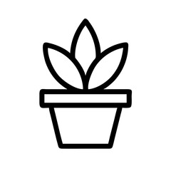 Potted Plant