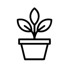 Potted Plant