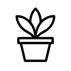 Potted Plant