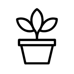 Potted Plant