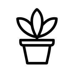 Potted Plant