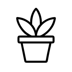 Potted Plant