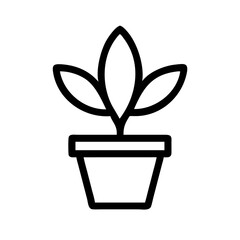Potted Plant