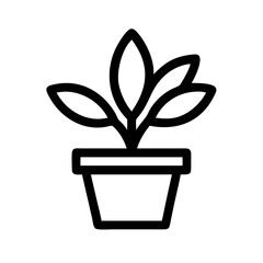 Potted Plant