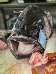 fish on ice