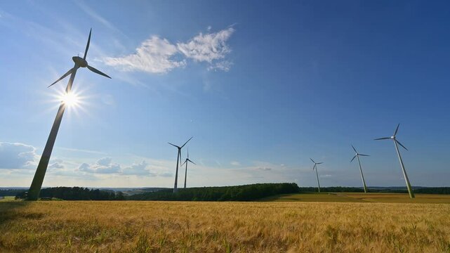 Getreidefeld, Windkraftanlage, Himmel, Landschaft, Sommer, Arnstein, Unterfranken, Bayern, Deutschland, Europa