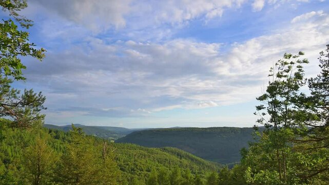 Waldlandschaft, Waldtal, Laubwald, Sommer, Schlossau, Mudau, Odenwald, Baden-W&uuml;rttemberg, Deutschland, Europa