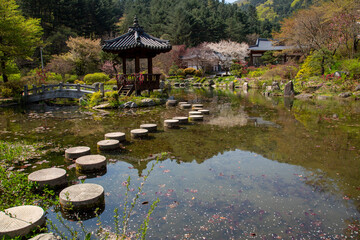 아침 고요의 숲 이야기