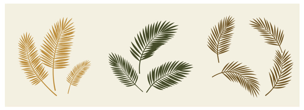 Three elegant botanical wreaths with golden and green palm leaves, feathers and branches on cream background. Minimalist tropical design elements for luxury branding and decoration.