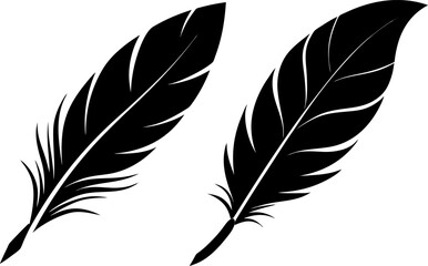 Obraz premium Elegant Feather Silhouettes collection black and white, Vector of feather set design