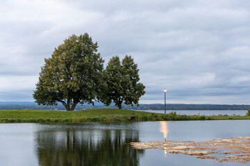 Waterside with trees in the park in summer. Andrew Haydon Park in the evening in Ottawa, Canada