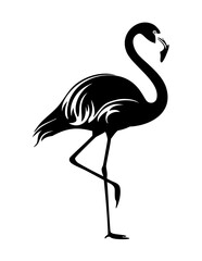 Fototapeta premium flamingo silhouette vector