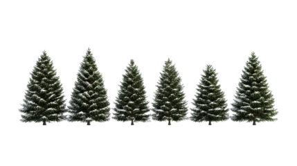 Five snow covered evergreen trees with a transparent background