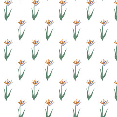 Floral background 6 for wrapping design, packaging or printing on textile, wallpaper. Vector illustration. Seamless pattern