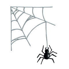 3d spiderweb with spider Halloween decoration for print, web, design, decor, logo