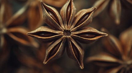 A close-up macro photograph of star anise pods, showcasing their textured surface and rich earthy tones, perfect for food styling, cooking concepts, and organic spice imagery.. AI Generation