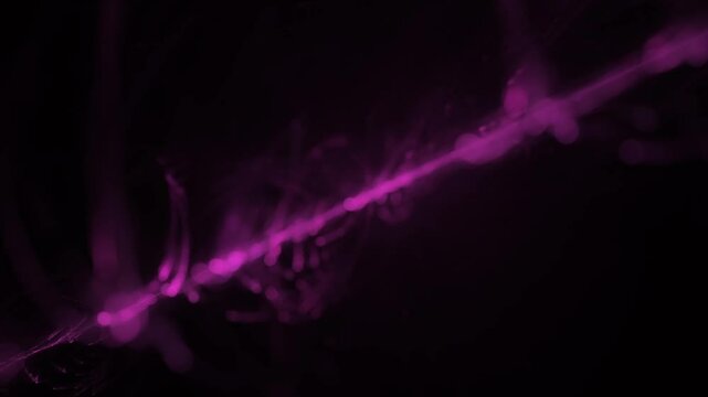 Leuchtende pinke filigrane Lichtfasern &ndash; dynamische Wissenschafts- und Technologie-Visualisierung zu Datentransfer und moderner Kommunikation, Nebel, Forschung
