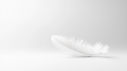 Obraz premium White feather on plain background; delicate, simple, serene image; use for peaceful themes, minimalist aesthetic