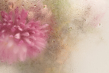 Soft focus flower bouquet through glass with water drops. Abstract natural blur pink, beige...
