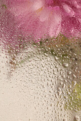 Soft focus flower bouquet through glass with water drops. Abstract natural blur pink, beige...