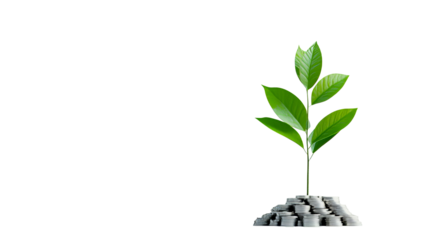 Tree growing from silver coins stack, growth income, investment, cut out transparent