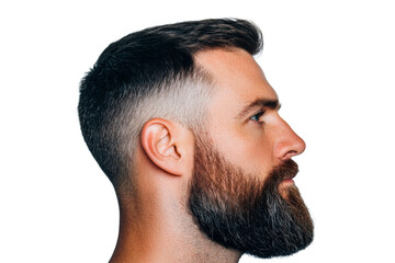 Obraz premium Profile of a Bearded Man with Stylish Haircut, cut out transparent