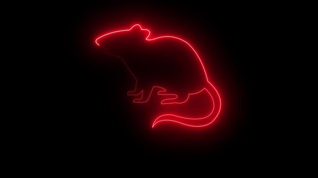 Neon Glowing Mouse Rat Icon. animated in   color 4k regulation video Neon Glowing on the black background Mouse Rat Icon and Symbol Animation 