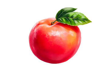 Juicy plum with fresh leaves, cut out transparent