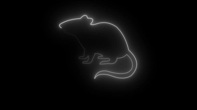 Neon Glowing Mouse Rat Icon. animated in   color 4k regulation video Neon Glowing on the black background Mouse Rat Icon and Symbol Animation 