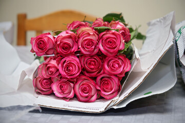 Detalhe de rosas em flor de cores vivas.