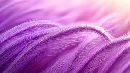 Fototapeta premium Flowing Purple Fabric Texture Abstract Background with Soft Lighting