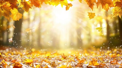 Autumn leaves falling in sunlight forest