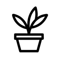 Potted Plant