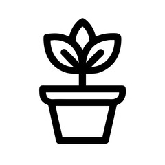 Potted Plant