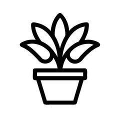 Potted Plant