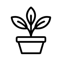 Potted Plant