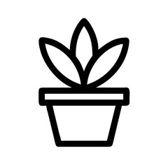 Potted Plant